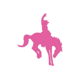 msapplication-TileImage